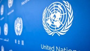 2024’te 50 bin kadın ve kız çocuğu öldürüldü: Küresel acil durum